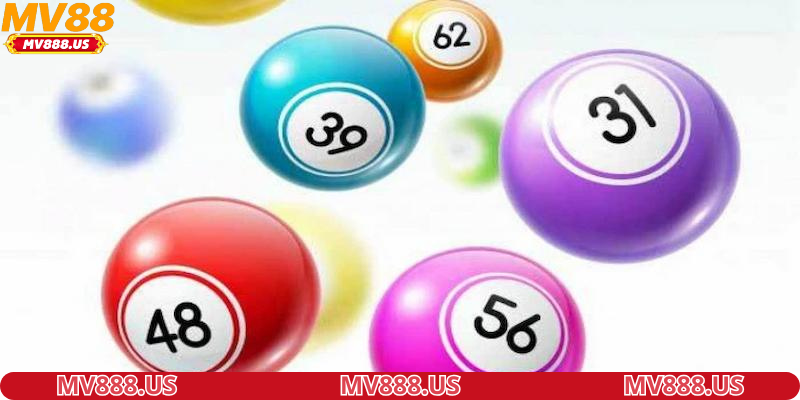 Lý do bạn nên tham gia chơi cá cược