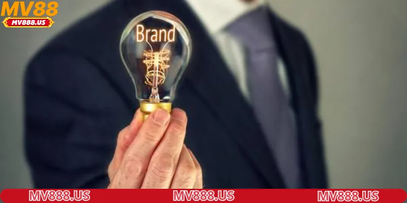 quy định về bản quyền sản phẩm cung cấp