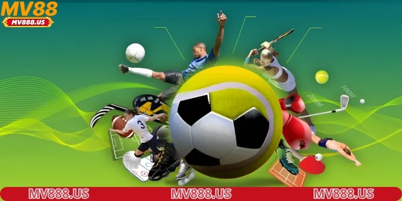 tong-hop-thong-tin-co-ban-ve-ca-cuoc-the-thao